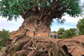 Arbol de la vida - Animal Kingdom