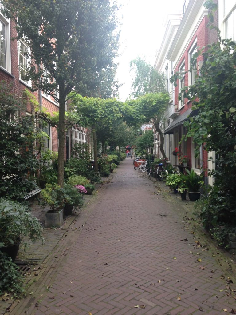 Haarlem, alrededores de Amsterdam