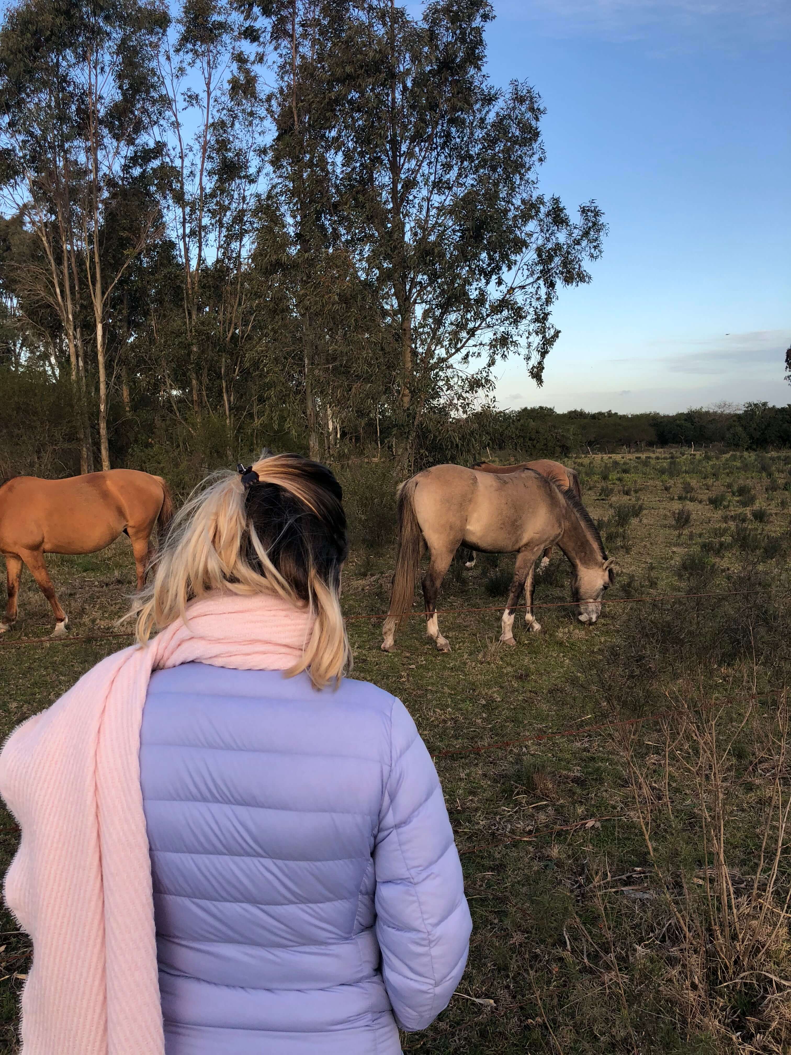 dos días en Carmelo